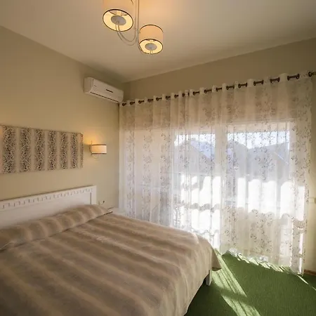 Levita Паланга